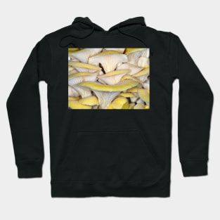 Golden oyster mushrooms Hoodie